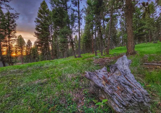 1st image of 289 Seclusion Pt, Seeley Lake, MT 59868 | MLS# 30064168