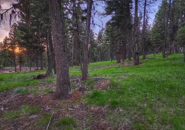 2nd image of 289 Seclusion Pt, Seeley Lake, MT 59868 | MLS# 30064168