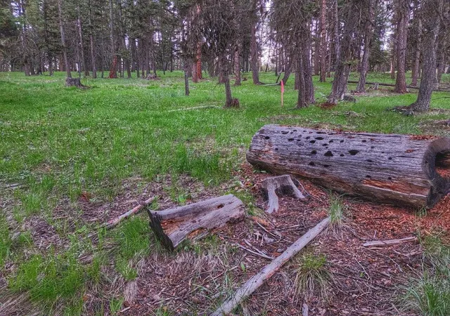 3rd image of 289 Seclusion Pt, Seeley Lake, MT 59868 | MLS# 30064168