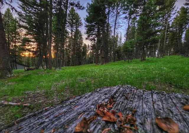 4th image of 289 Seclusion Pt, Seeley Lake, MT 59868 | MLS# 30064168