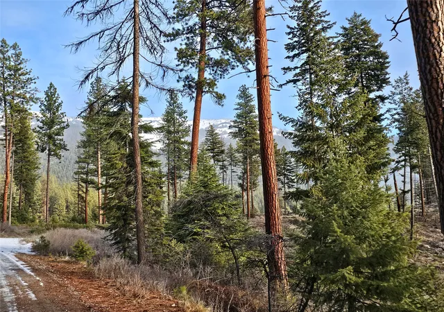 Photo 5 of Land for sale at 24 Labrador Ln, Plains, MT 59859 | MLS# 30064192 | Listing updated on 2026-07-21