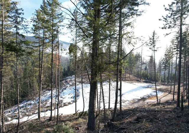 Photo 98 of Land for sale at 24 Labrador Ln, Plains, MT 59859 | MLS# 30064192 | Listing updated on 2026-07-21