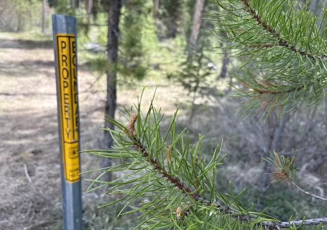55th image of 240 No Access Ln, Sula, MT 59871 | MLS# 30063683