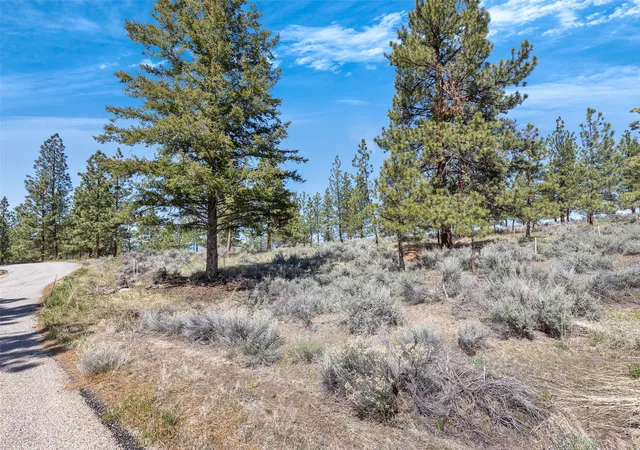Photo 3 of Land for sale at 83 Mascot Trl, Hamilton, MT 59840 | MLS# 30064623 | Listing updated on 2026-07-01