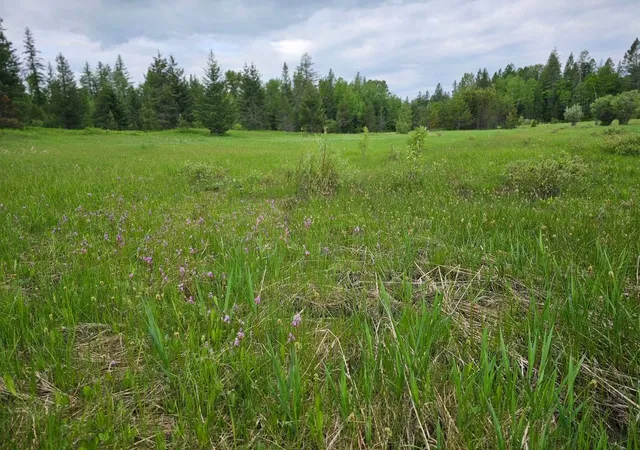 Photo 3 of Land for sale at 214 Aspen Ln, Columbia Falls, MT 59912 | MLS# 30064704 | Listing updated on 2026-08-03