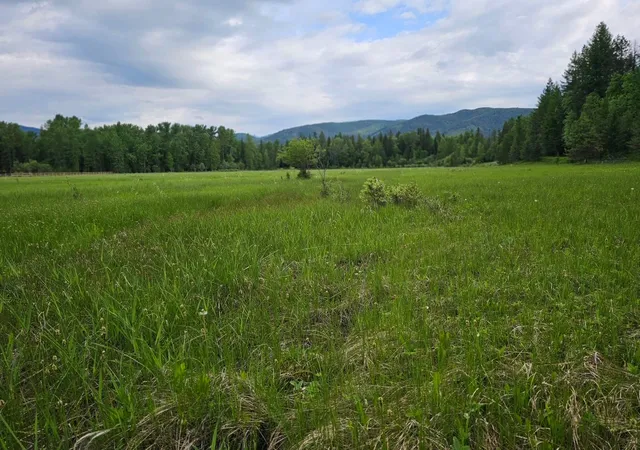 Photo 3 of Land for sale at 214 Aspen Ln, Columbia Falls, MT 59912 | MLS# 30064704 | Listing updated on 2026-08-03