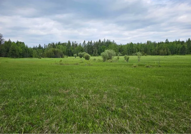 Photo 4 of Land for sale at 214 Aspen Ln, Columbia Falls, MT 59912 | MLS# 30064704 | Listing updated on 2026-08-03