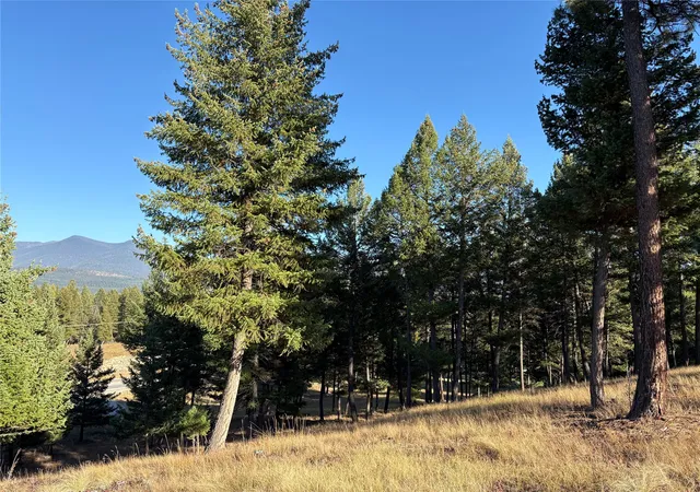 Homes for sale in Eureka, MT | Nhn (Lot 1B) Badger Trl, Eureka, MT 59917 | MLS# 30064741