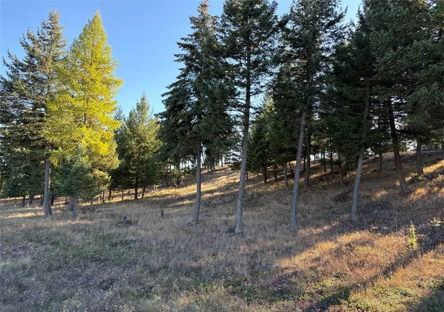 Homes for sale in Eureka, MT | Nhn (Lot 1B) Badger Trl, Eureka, MT 59917 | MLS# 30064741