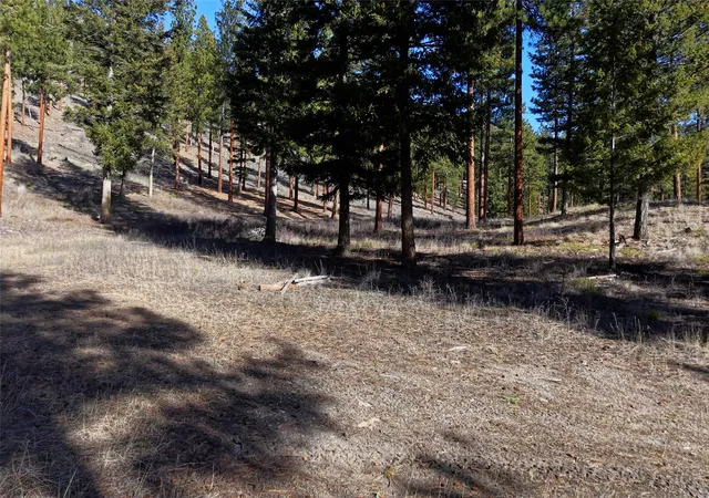 Homes for sale in Clinton, MT | Lot 15 Muddler Ct, Clinton, MT 59825 | MLS# 30064810