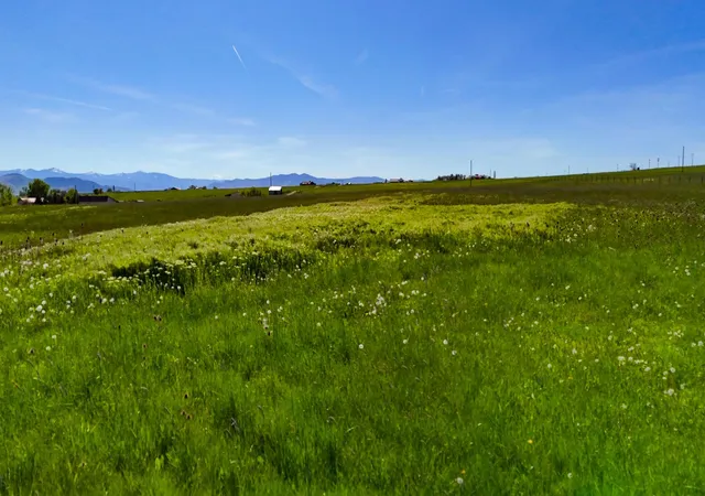 Homes for sale in St Ignatius, MT | Nhn Bigfoot Trail, St Ignatius, MT 59865 | MLS# 30062285