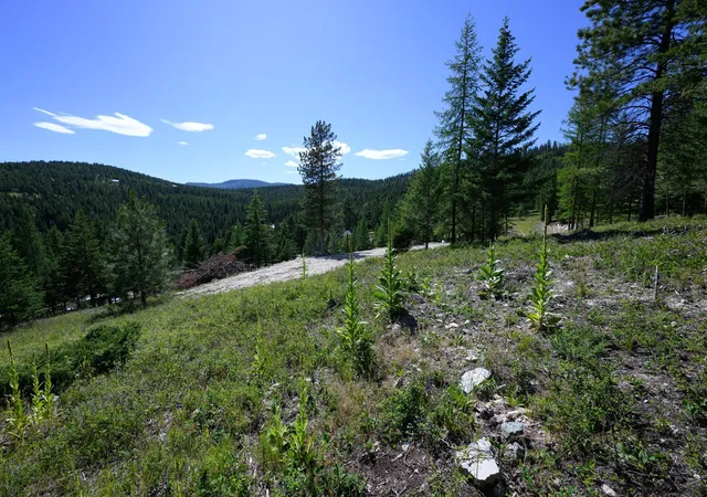 Photo 5 of Land for sale at 359 Copper Rd, Kalispell, MT 59901 | MLS# 30064879 | Listing updated on 2026-07-01