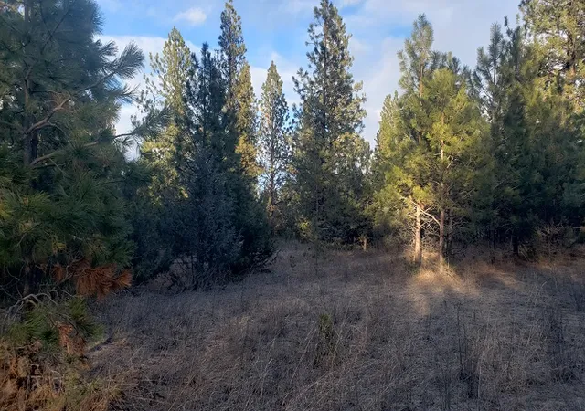 3rd image of Tbd Early Dawn Dr, Big Arm, MT 59910 | MLS# 30064918