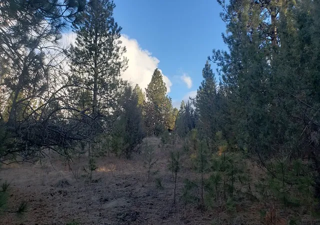 4th image of Tbd Early Dawn Dr, Big Arm, MT 59910 | MLS# 30064918
