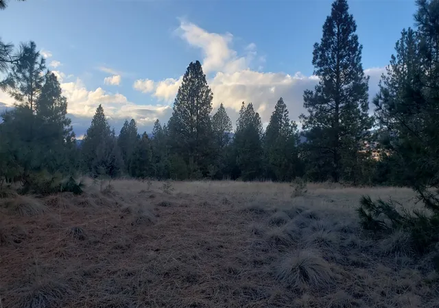 5th image of Tbd Early Dawn Dr, Big Arm, MT 59910 | MLS# 30064918
