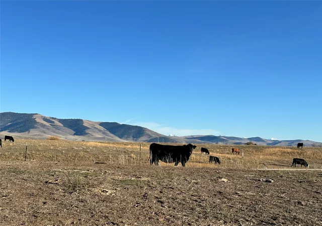 Photo 3 of Land for sale at Nhn Red Barn Rd, Hot Springs, MT 59845 | MLS# 30064984 | Listing updated on 2026-07-03