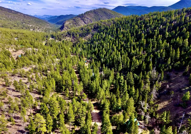 4th image of 3925 Little Wolf Creek Rd, Wolf Creek, MT 59648 | MLS# 30064975