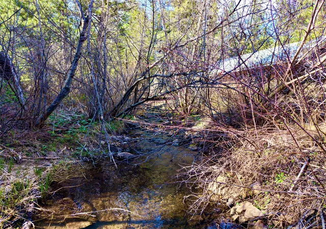 5th image of 3925 Little Wolf Creek Rd, Wolf Creek, MT 59648 | MLS# 30064975