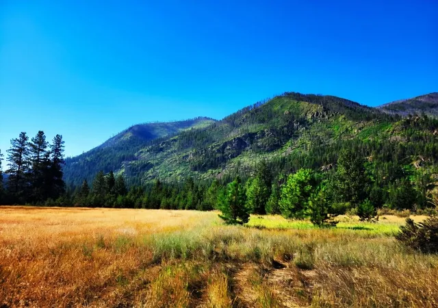 Homes for sale in Plains, MT | Lot 4 Harbine Ranch Rd, Plains, MT 59859 | MLS# 30065144