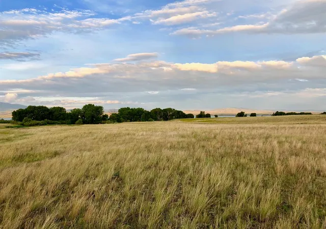Homes for sale in Townsend, MT | Lot 33 Grace Dr, Townsend, MT 59644 | MLS# 30065284