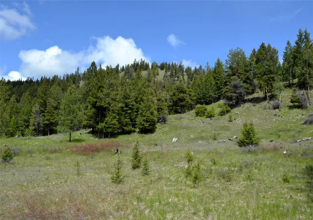 2nd image of Nhn Bugler Trl, Kila, MT 59920 | MLS# 30065293
