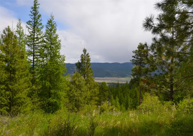 52nd image of Nhn Bugler Trl, Kila, MT 59920 | MLS# 30065293