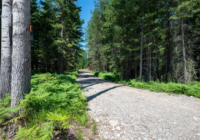 Photo 5 of Single family home for sale at 8 Hidden Meadows Way, Trout Creek, MT 59874 | MLS# 30063805 | Listing updated on 2026-07-28