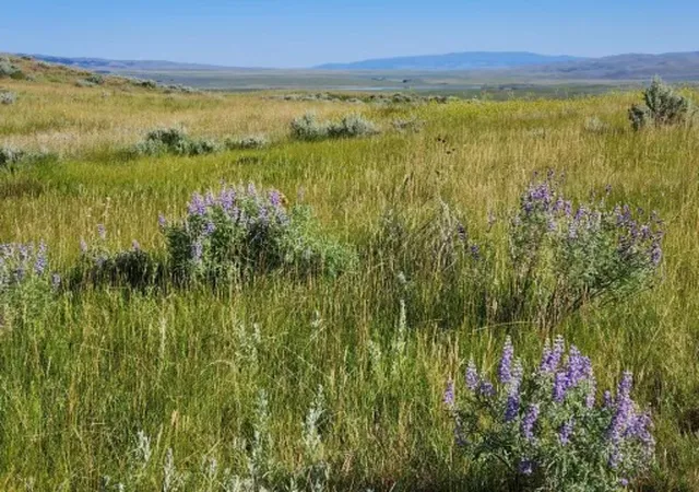 Homes for sale in Wilsall, MT | Tbd Old Flathead Creek Road-Parcel A-1, Wilsall, MT 59086 | MLS# 30065360