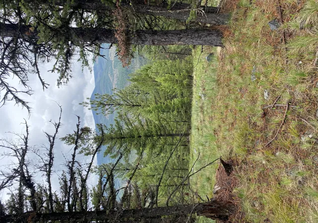 1st image of 1444 Haskill Ranch Rd, Kila, MT 59920 | MLS# 30065408