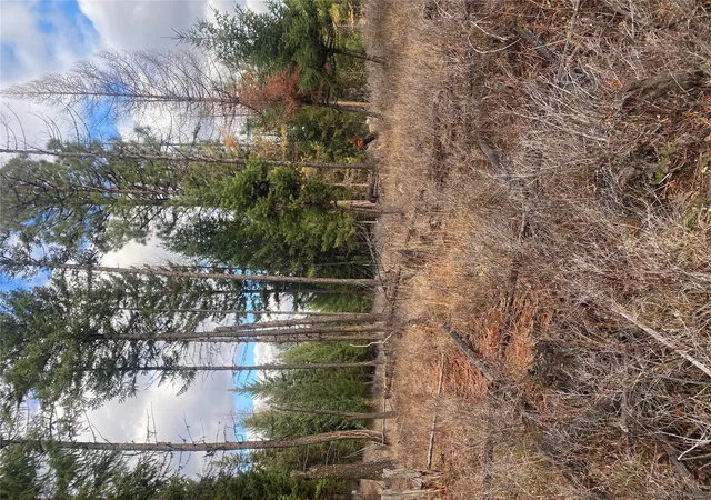 21st image of 1444 Haskill Ranch Rd, Kila, MT 59920 | MLS# 30065408