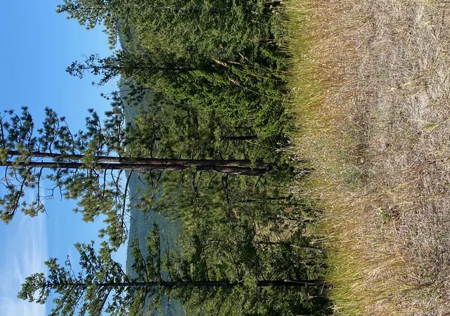 2nd image of 1444 Haskill Ranch Rd, Kila, MT 59920 | MLS# 30065408