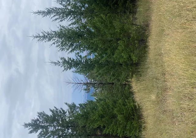 3rd image of 1444 Haskill Ranch Rd, Kila, MT 59920 | MLS# 30065408