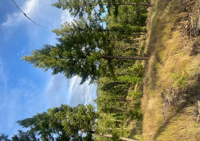 4th image of 1444 Haskill Ranch Rd, Kila, MT 59920 | MLS# 30065408