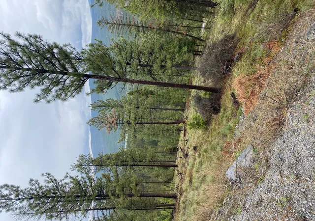 5th image of 1444 Haskill Ranch Rd, Kila, MT 59920 | MLS# 30065408