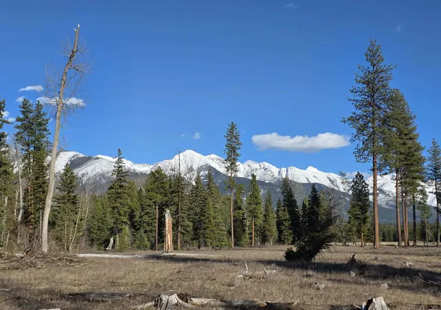 1st image of Nhn Hollopeter Rd Hollopeter Rd, Condon, MT 59826 | MLS# 30065613