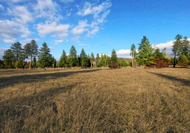 2nd image of Nhn Hollopeter Rd Hollopeter Rd, Condon, MT 59826 | MLS# 30065613