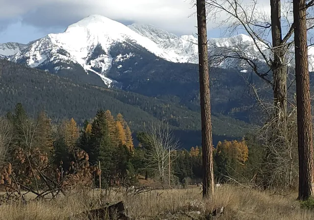 4th image of Nhn Hollopeter Rd Hollopeter Rd, Condon, MT 59826 | MLS# 30065613