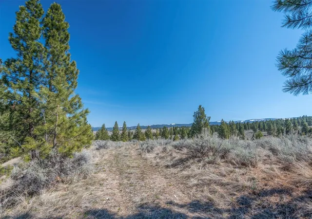 3rd image of Parcel C Chase Ln, Stevensville, MT 59870 | MLS# 30065653