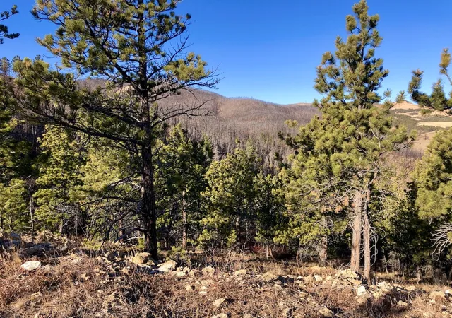 Photo 2 of Land for sale at Nhn Pony Gulch, Zortman, MT 59546 | MLS# 30064703 | Listing updated on 2026-07-01