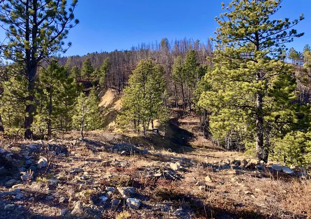 Photo 3 of Land for sale at Nhn Pony Gulch, Zortman, MT 59546 | MLS# 30064703 | Listing updated on 2026-07-01