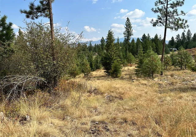 Homes for sale in Plains, MT | 36 Bighorn Bluff Loop, Plains, MT 59859 | MLS# 30065889