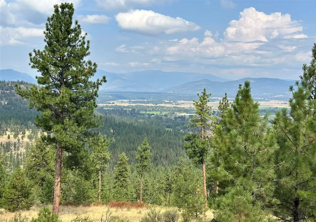 Homes for sale in Plains, MT | 36 Bighorn Bluff Loop, Plains, MT 59859 | MLS# 30065889