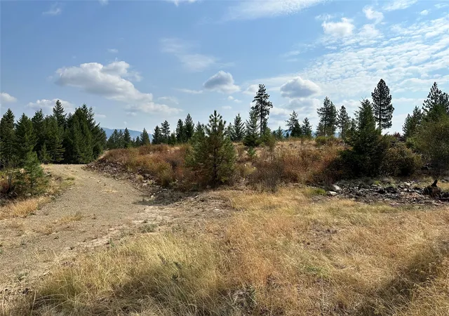 Homes for sale in Plains, MT | 36 Bighorn Bluff Loop, Plains, MT 59859 | MLS# 30065889