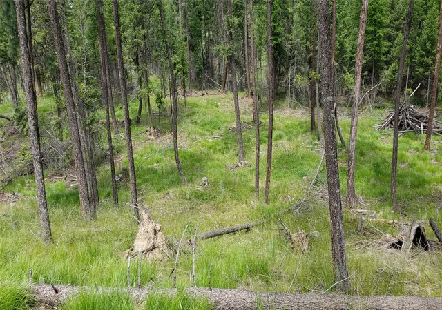 Photo 3 of Land for sale at 109 Coffee Dr, Eureka, MT 59917 | MLS# 30065784 | Listing updated on 2026-07-06