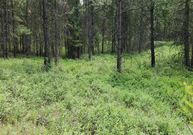 Photo 3 of Land for sale at 109 Coffee Dr, Eureka, MT 59917 | MLS# 30065784 | Listing updated on 2026-07-06