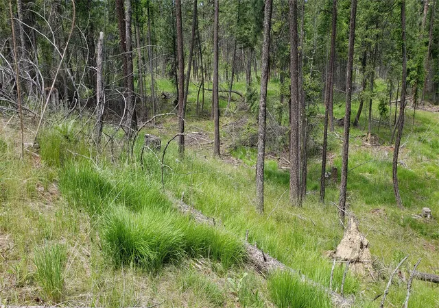 Photo 4 of Land for sale at 109 Coffee Dr, Eureka, MT 59917 | MLS# 30065784 | Listing updated on 2026-07-06