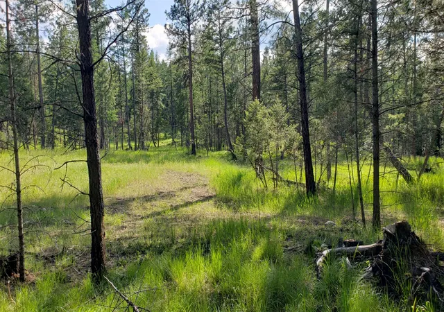 3rd image of 151 Coffee Dr, Eureka, MT 59917 | MLS# 30065923