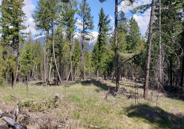 4th image of 151 Coffee Dr, Eureka, MT 59917 | MLS# 30065923