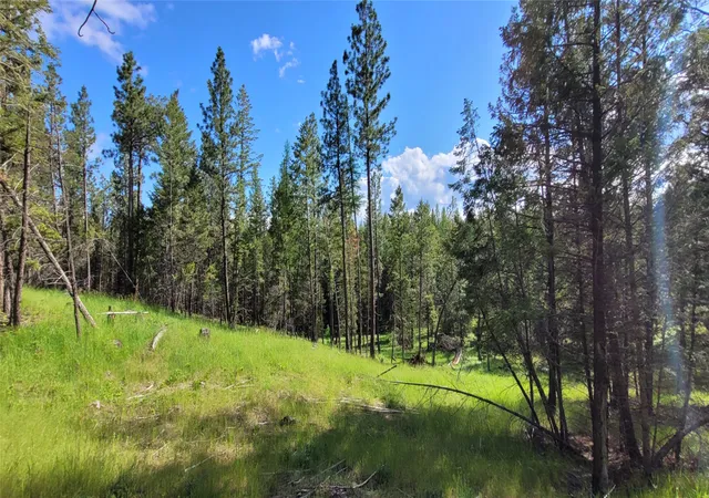 5th image of 151 Coffee Dr, Eureka, MT 59917 | MLS# 30065923