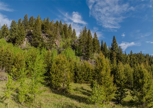 Homes for sale in Clancy, MT | 72 Big Indian Gulch Rd, Clancy, MT 59634 | MLS# 30065817